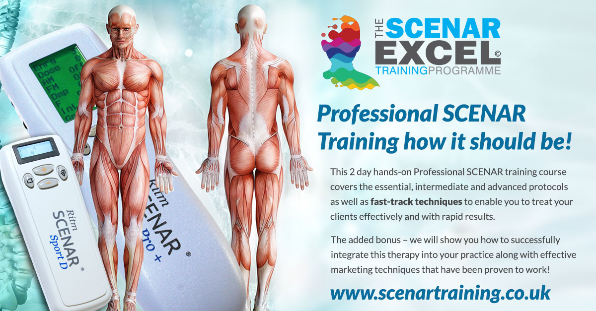 Professional Full Body Alignment Training Course for Therapists